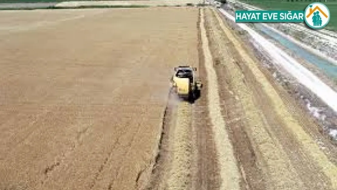 'Salgın sürecinde gıda ve tarıma azami önem verilmeli'