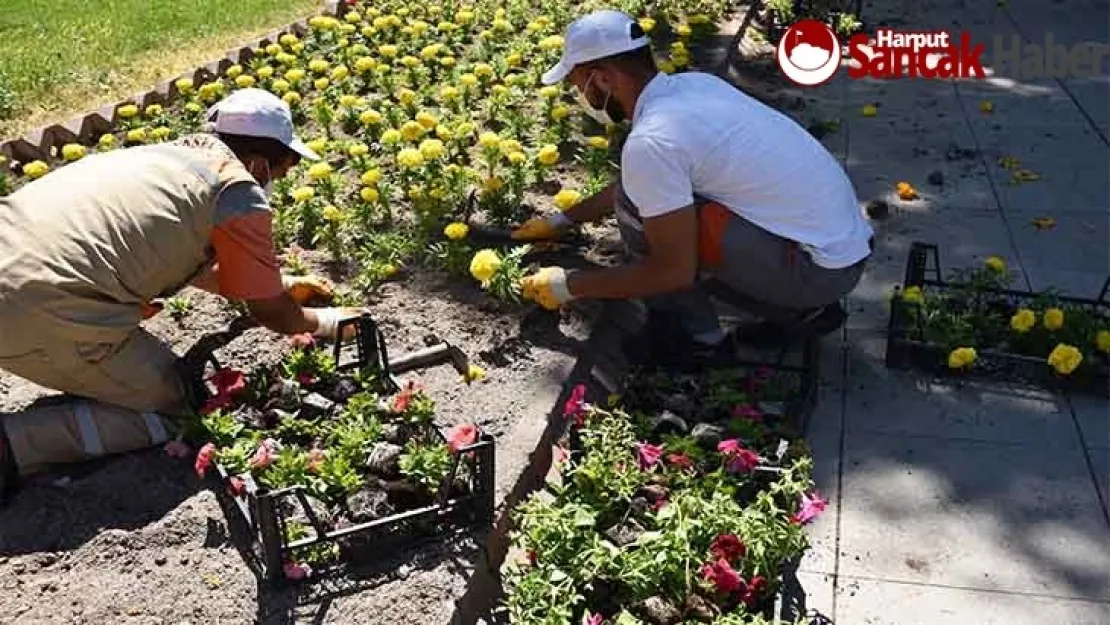 2 Milyon 740 Bin Metrekare Yeşil Alanda Çalışma Yürütüyor