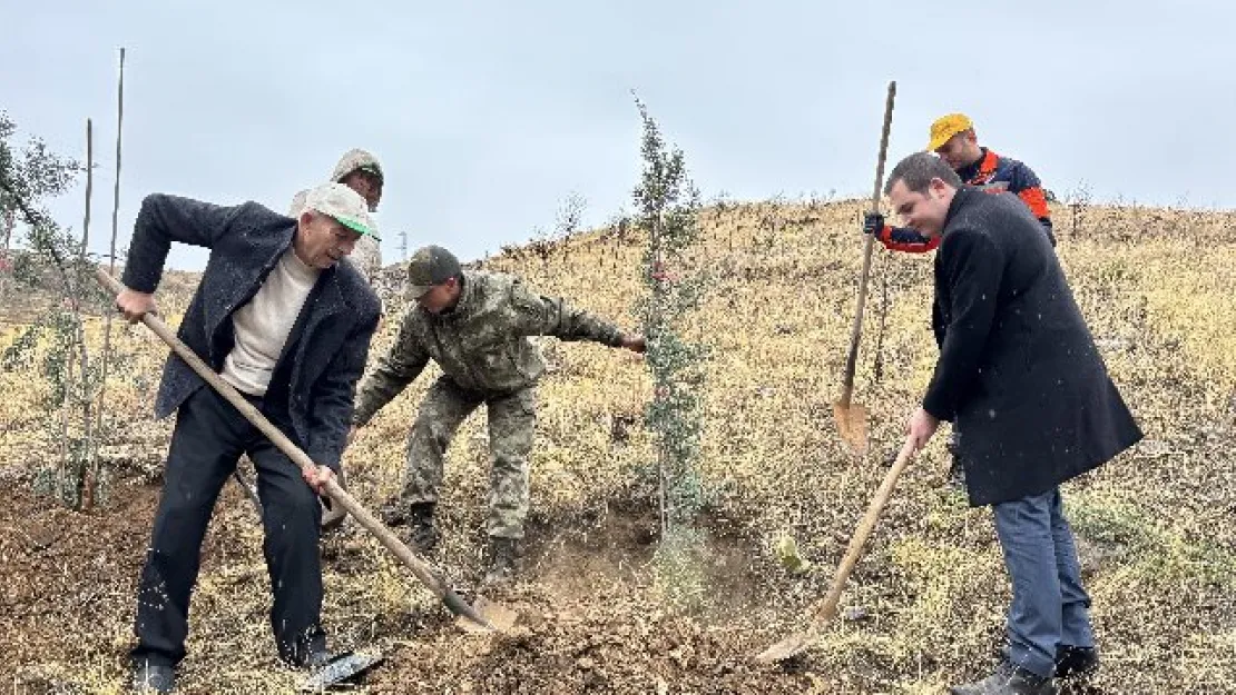 Arapgir'de 11 Kasım Milli Ağaçlandırma Günü fidan toprakla buluştu