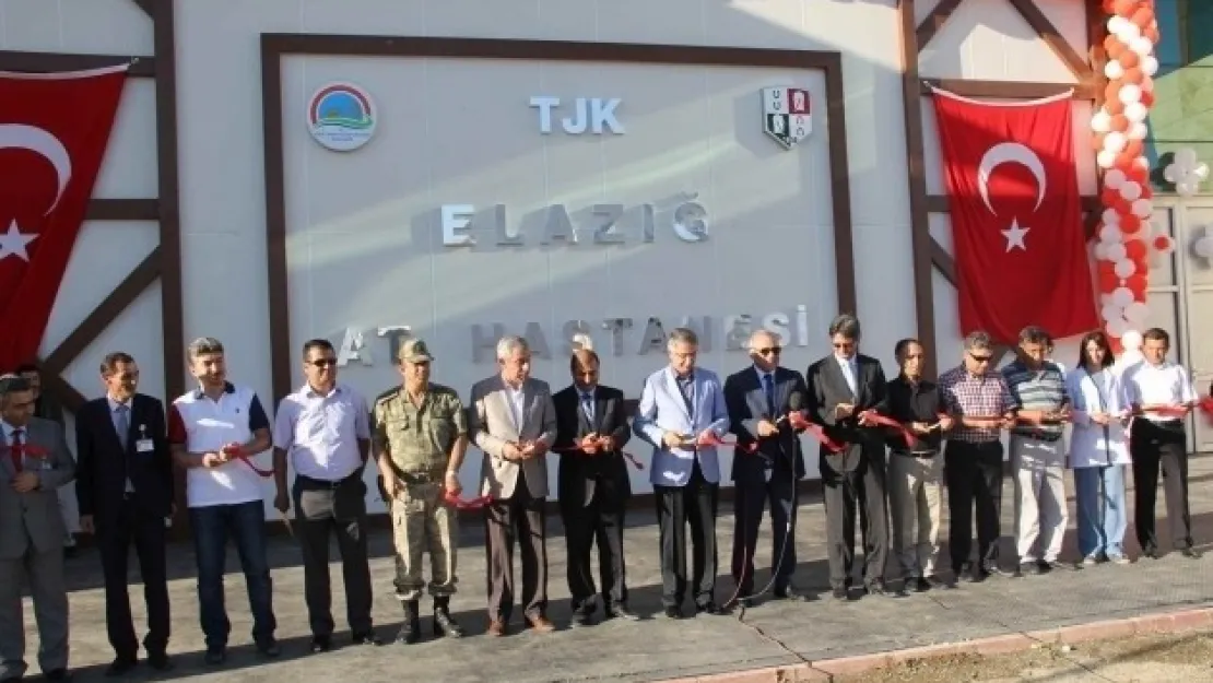 At Hastanesi Hizmete Girdi