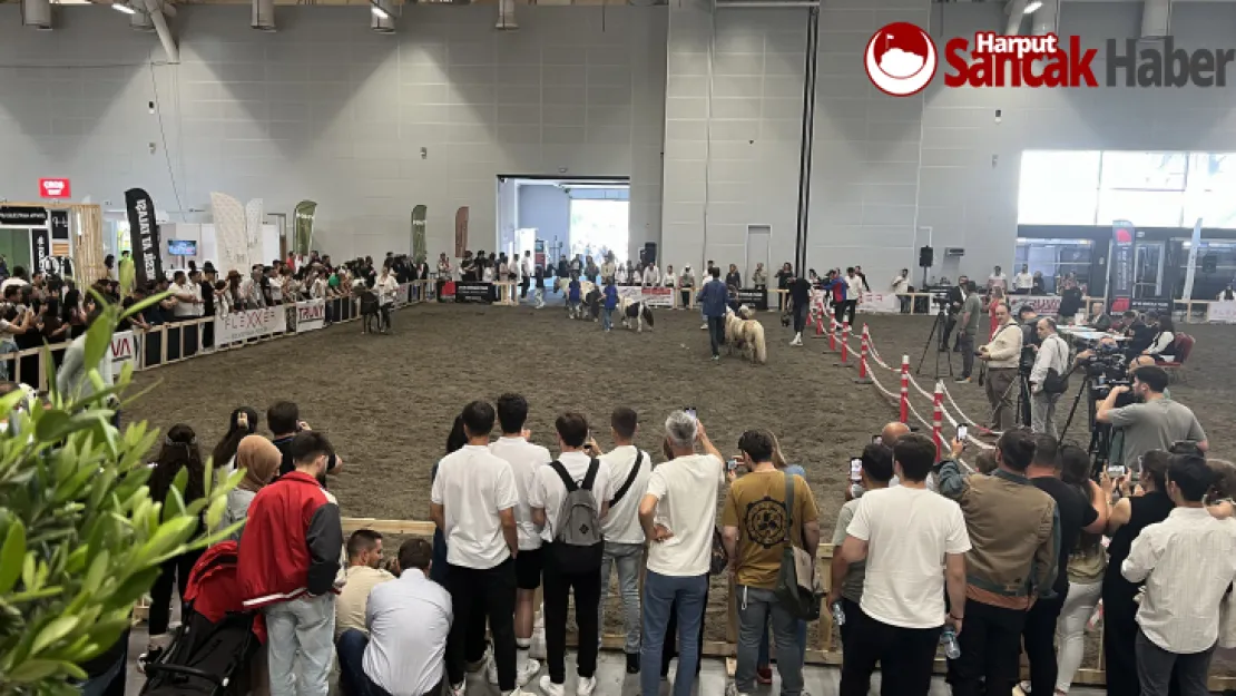 At Sevgisi ve Doğada Yaşam Özlemi,Arayışındakiler Fuarda Buluştu