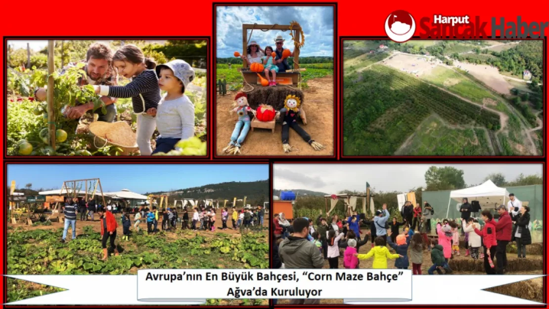 Avrupa'nın En Büyük Bahçesi, 'Corn Maze Bahçe' Ağva'da Kuruluyor