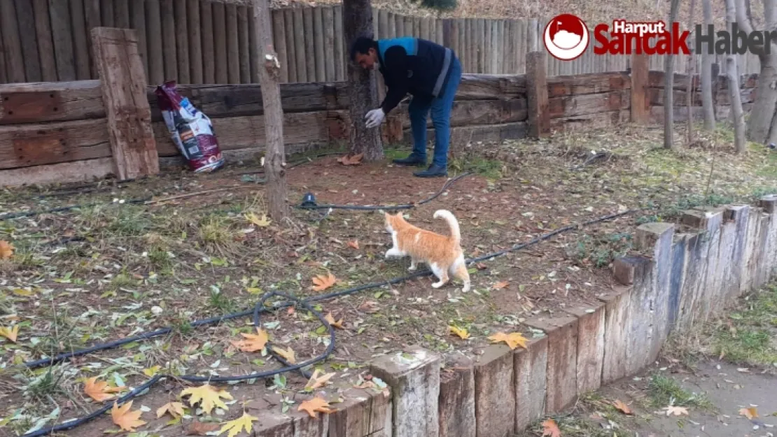 Battalgazi Belediyesi Can Dostlarını Unutmadı