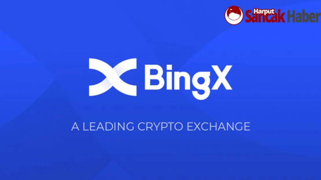 BingX, En İyi Yapay Zeka Kripto Paraları Kapsamlı Rehberi'ni Yayınladı