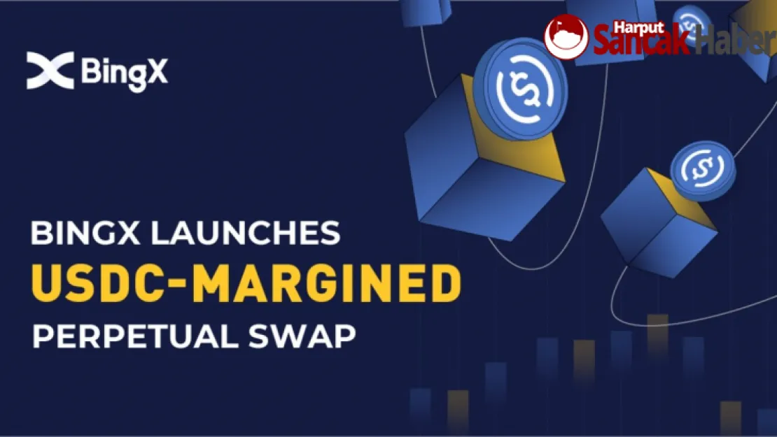 Bingx, Kullanıcıları İçin USDC Marjlı Perpetual Swap Sunuyor