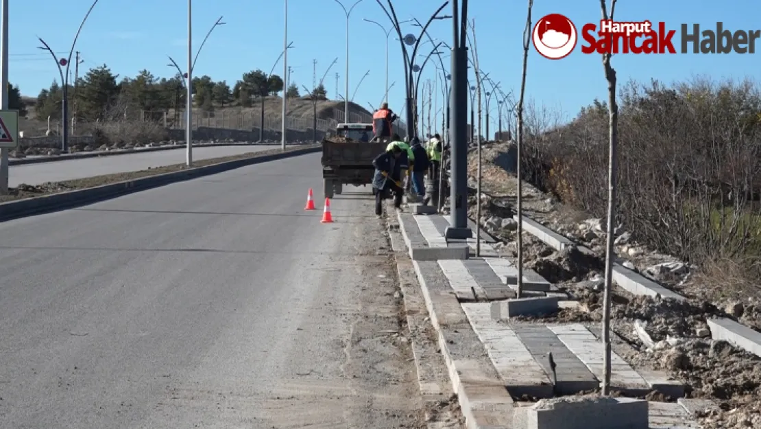 Büyükşehir Belediyesi Kuzey Kuşak Yolu'nu Yeşillendiriyor