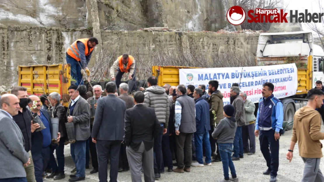 Büyükşehir Belediyesinden Fidan Dağıtımı