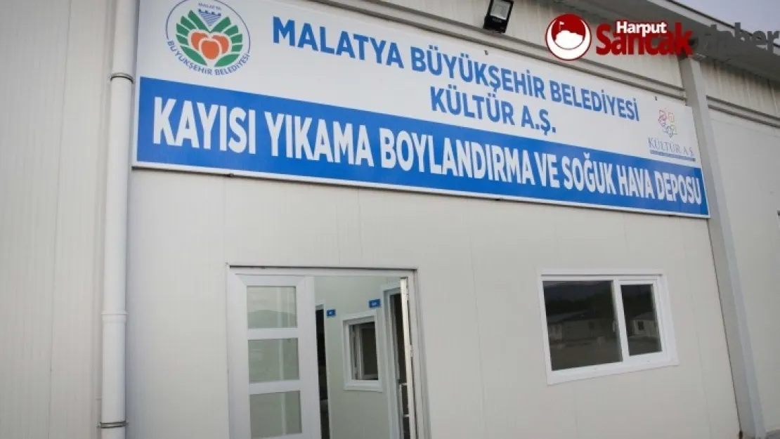 Büyükşehir'den  Kayısı'ya katma değer