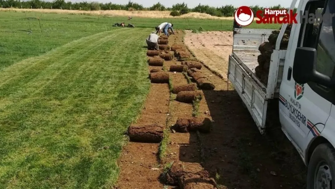 Büyükşehir ihtiyaç duyduğu çimi kurduğu tesiste üretiyor