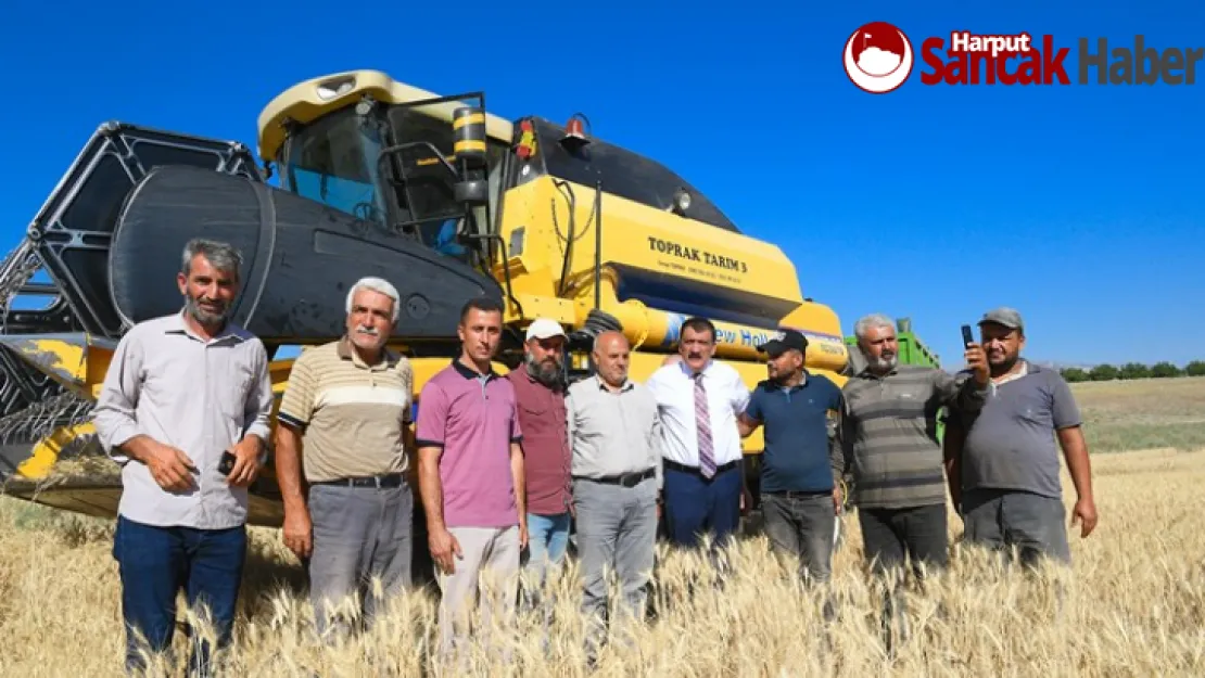 Çiftçilere Dağıtılan Tohumlar Hasat Ediliyor