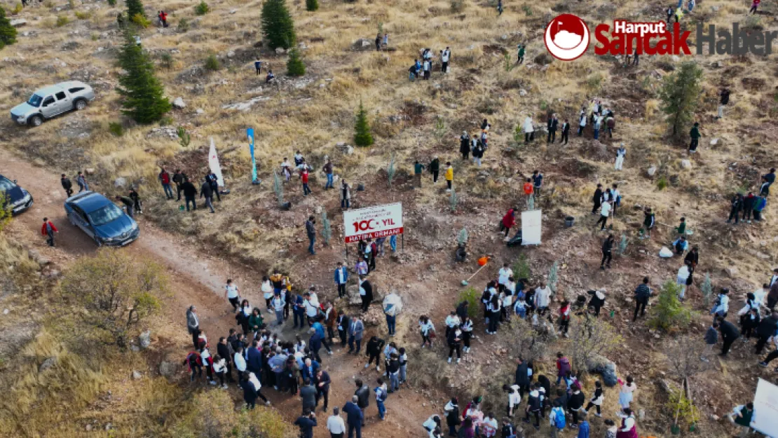 Cumhuriyetin 100. Yılı Anısına Binlerce Fidan Dikildi