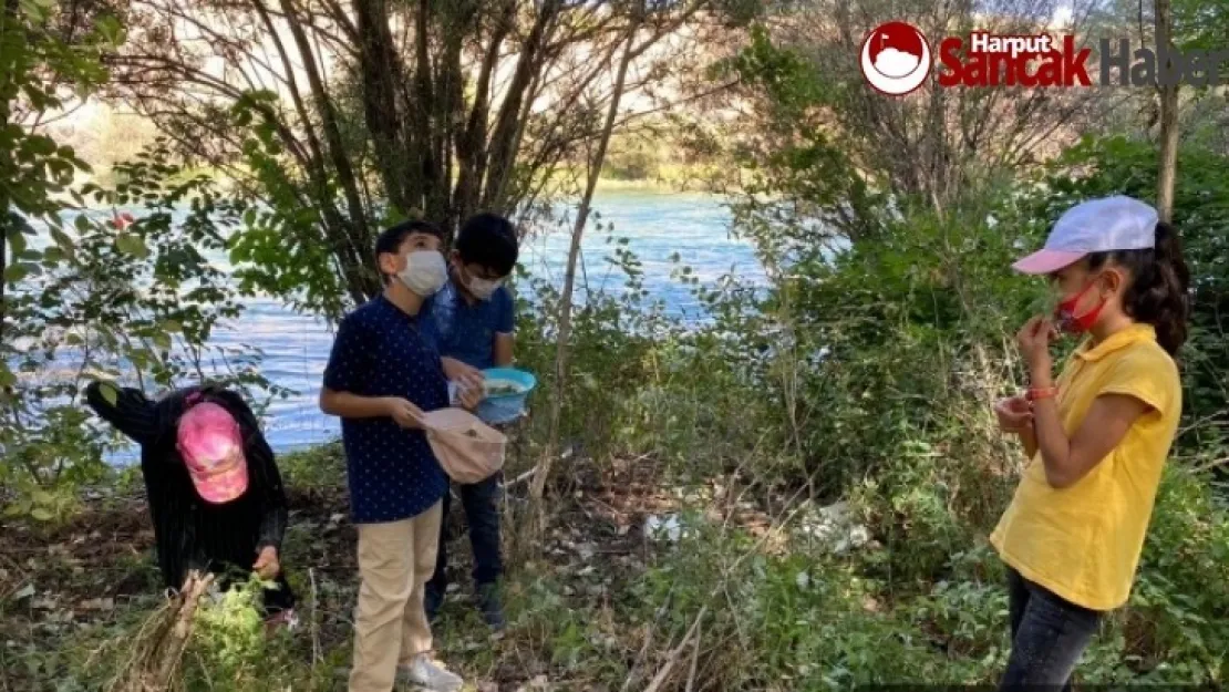 'Doğa Kaşifi' Projesi Tüm Hızlıyla Devam Ediyor