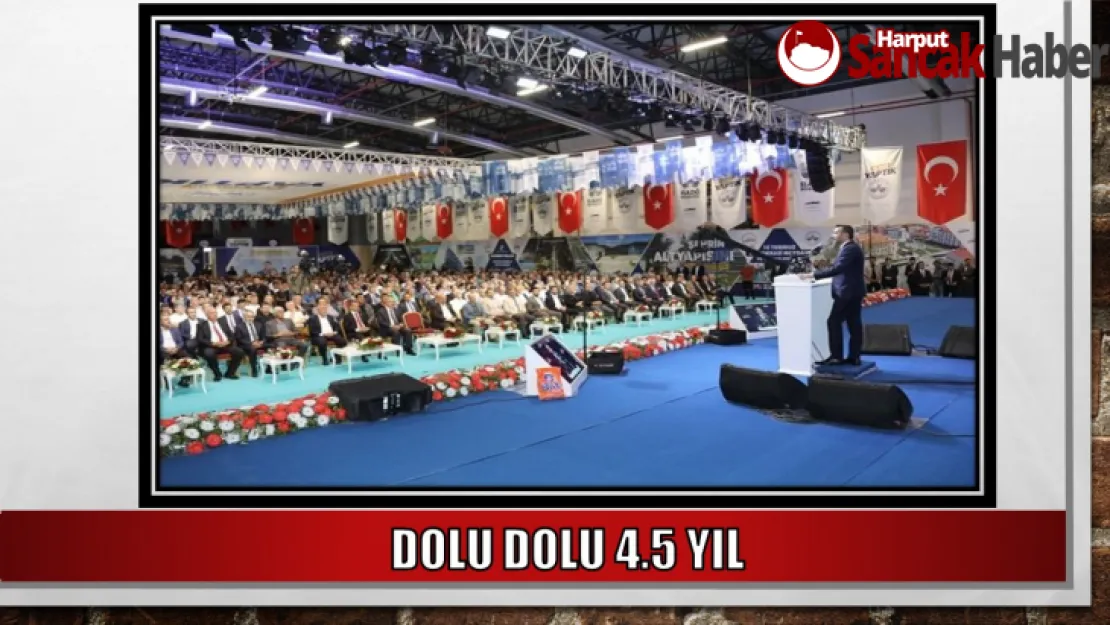 DOLU DOLU 4.5 YIL