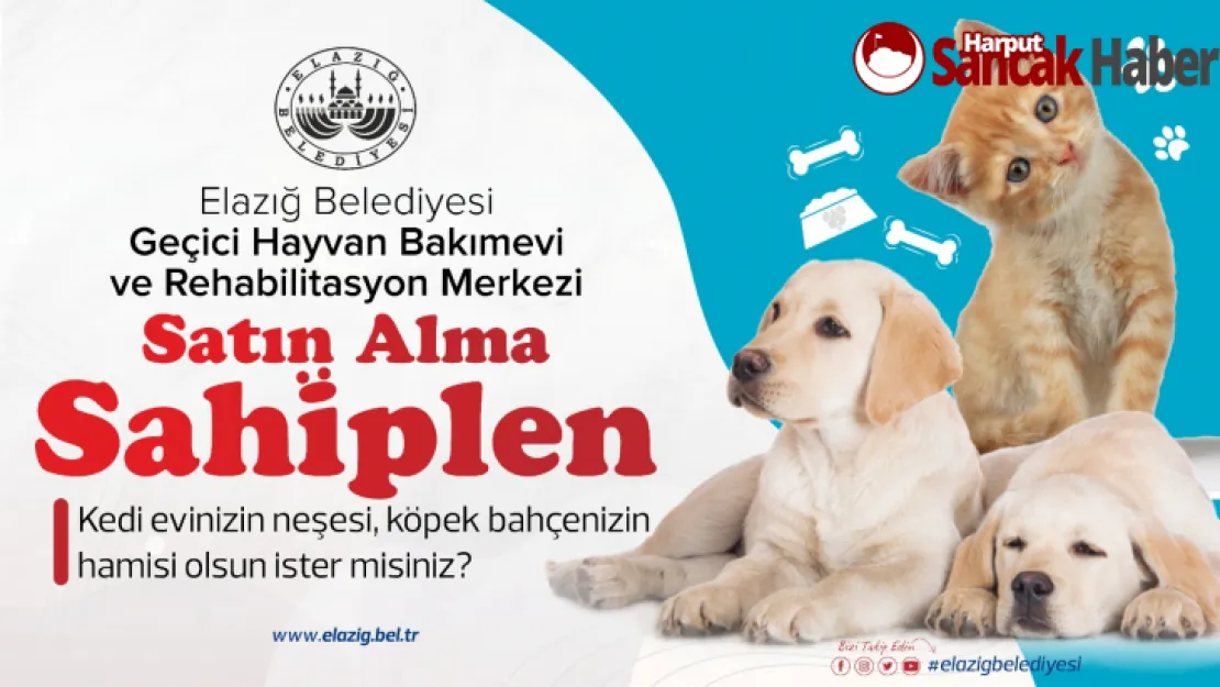 Elazığ Belediyesi Can Dostlarımız İçin