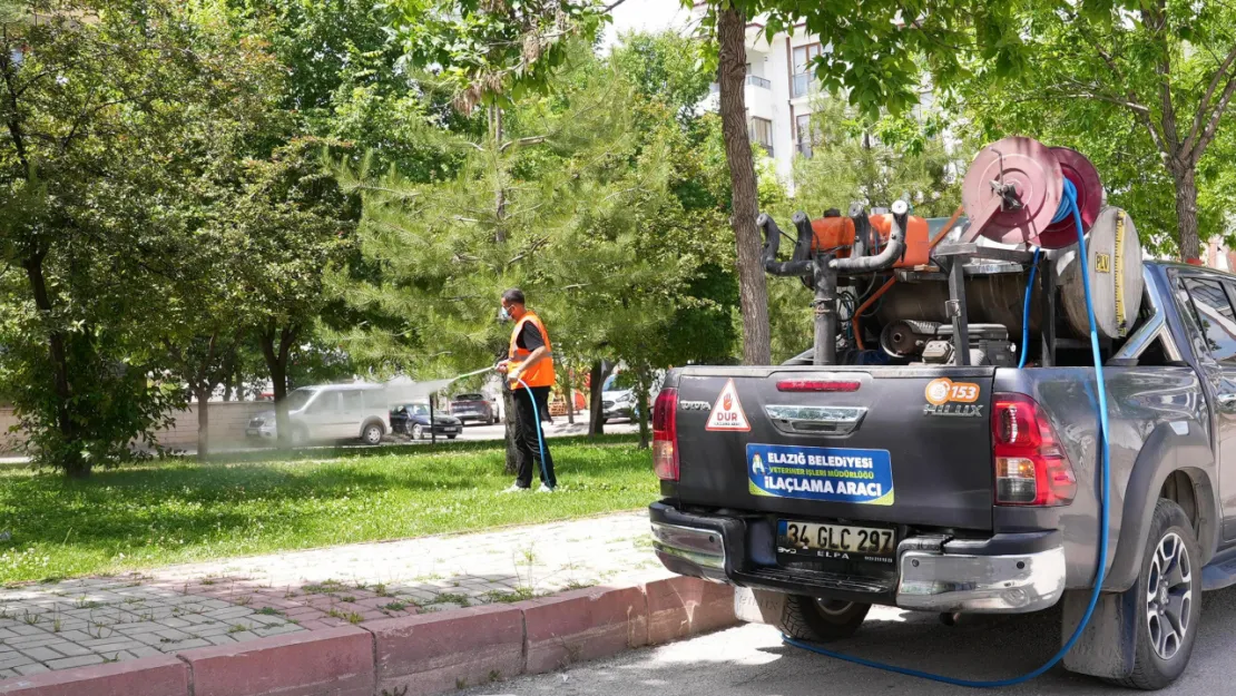 Elazığ Belediyesi, İlaçlama Çalışmalarını Aralıksız Sürdürüyor