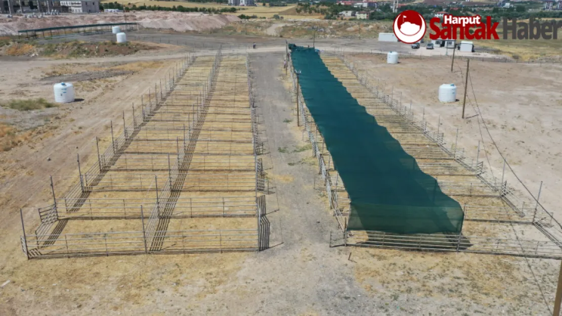 Elazığ Belediyesi, Kurban Bayramı Hazırlıklarını Sürdürüyor