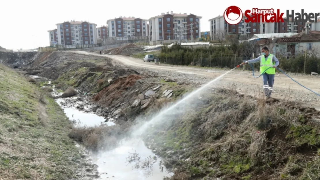 Elazığ Belediyesi'nden Larva İle Mücadele