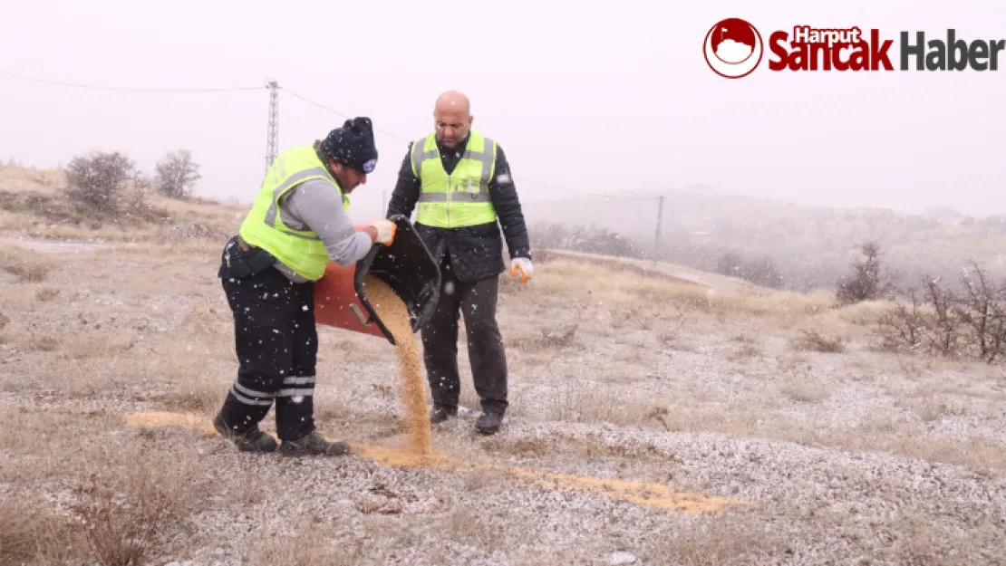 Elazığ Belediyesi Yaban ve Sokak Hayvanları İçin Çalışma Başlattı