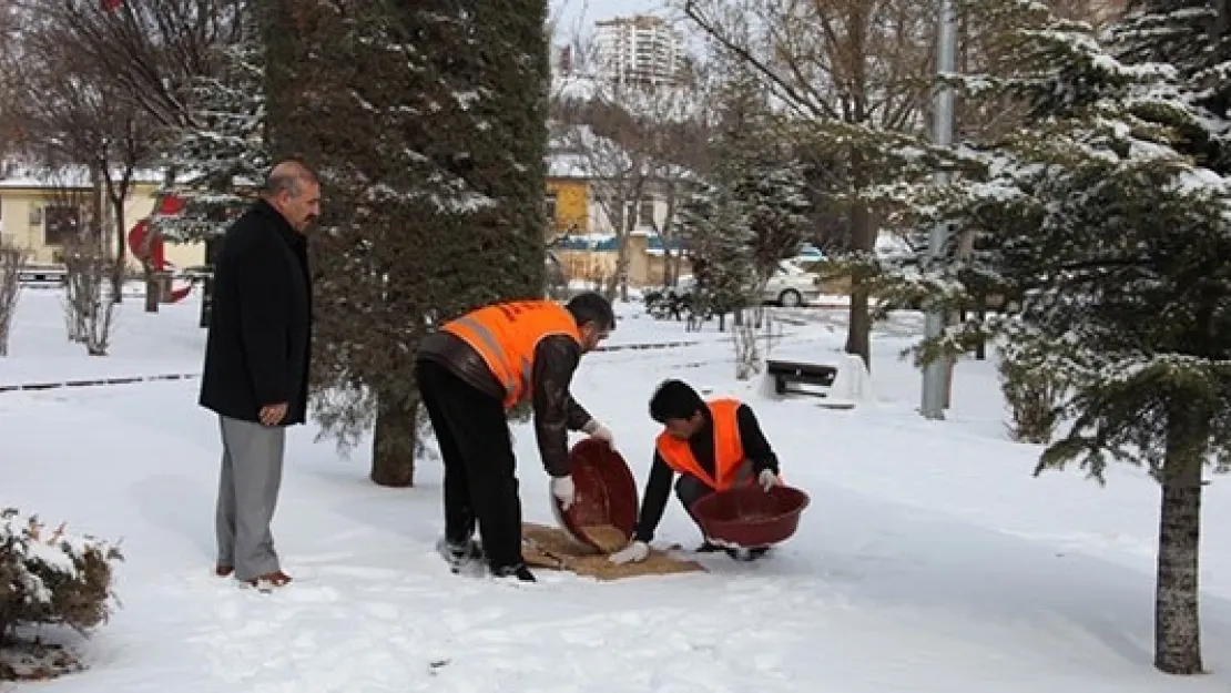 Elazığ Belediyesi'nden Kuşlara Şefkat Eli