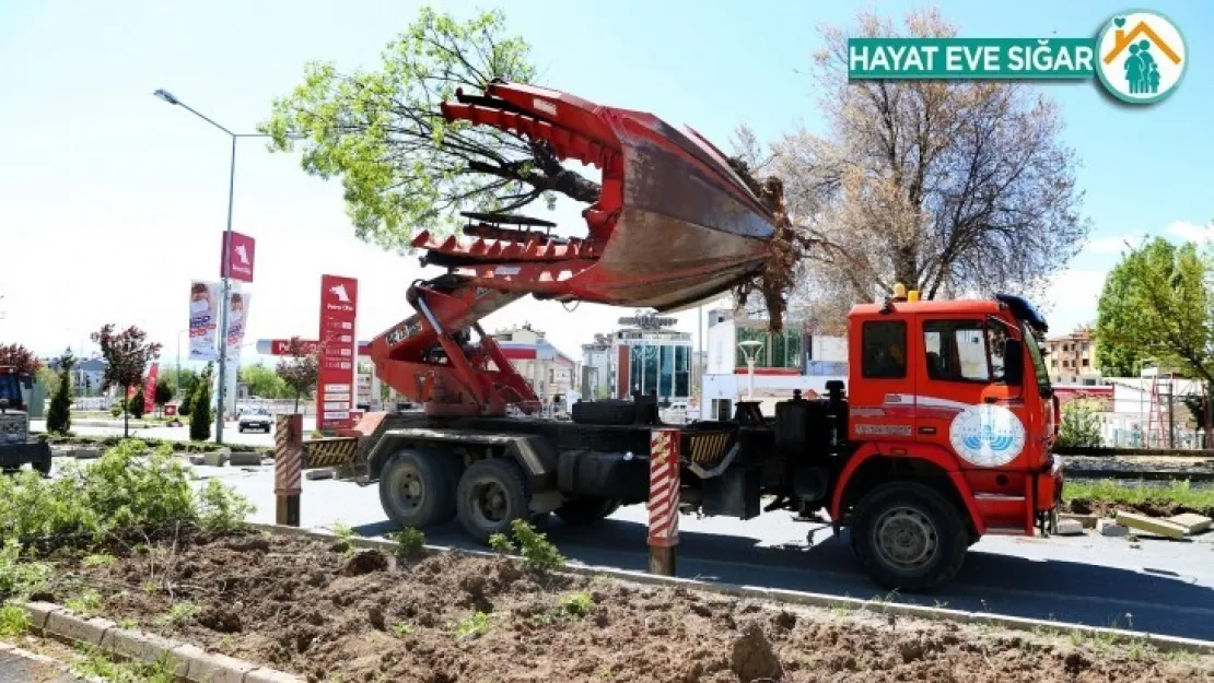 Elazığ Belediyesi'nden Yeşile Saygı