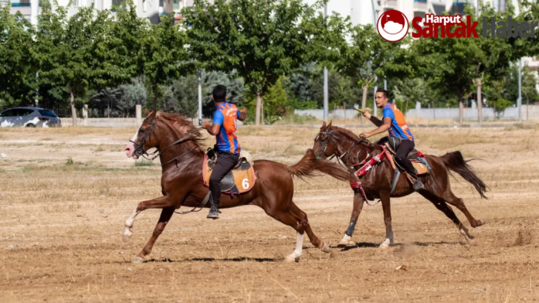 Festival Kapsamında Cirit Müsabakası ve Engelsiz Konser Düzenlendi