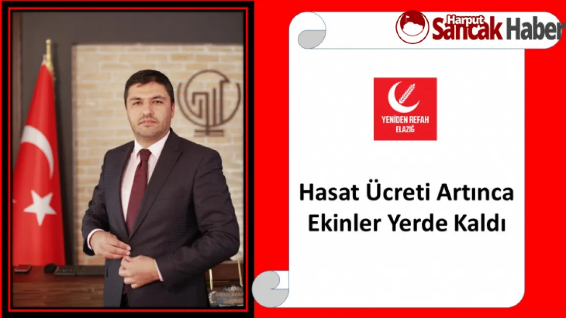 Hasat Ücreti Artınca Ekinler Yerde Kaldı