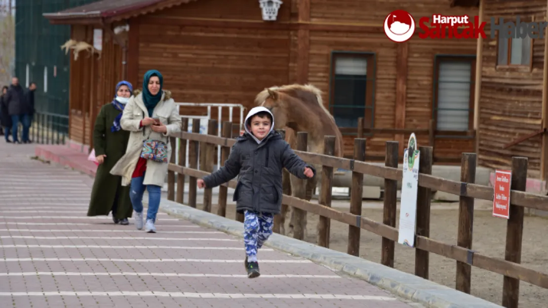 Hayvanat Bahçesi 2021 Yılında 54 Bin Ziyaretçiyi Ağırladı