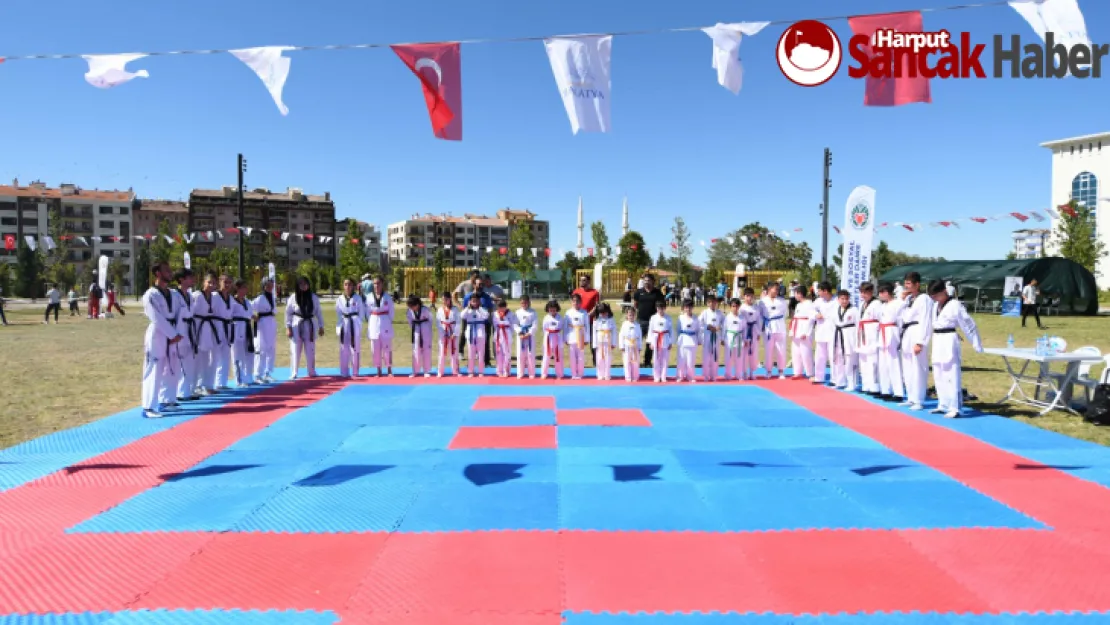 Kayısı Festivali Kapsamında Spor Şenliği Düzenlendi