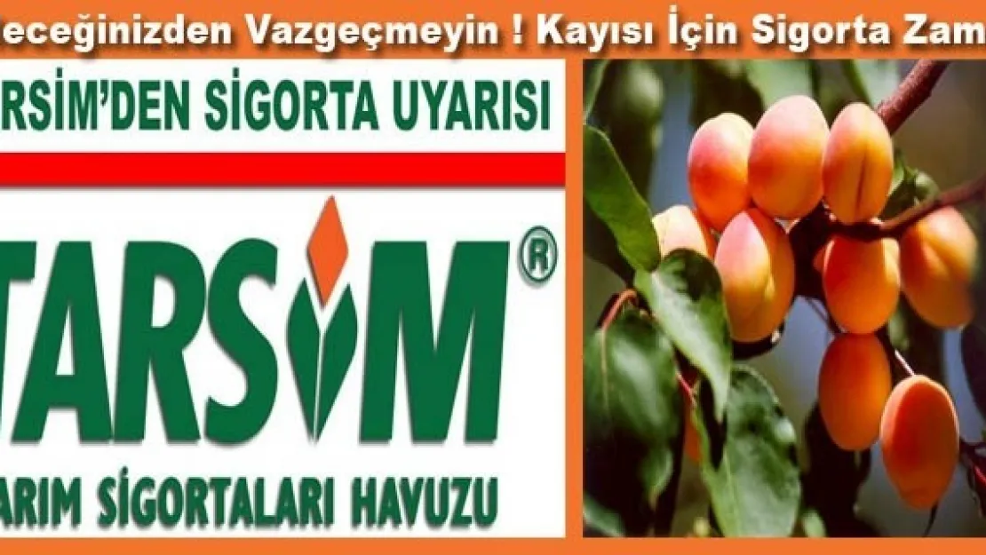 Kayısı İçin Şimdi Sigorta Zamanı!