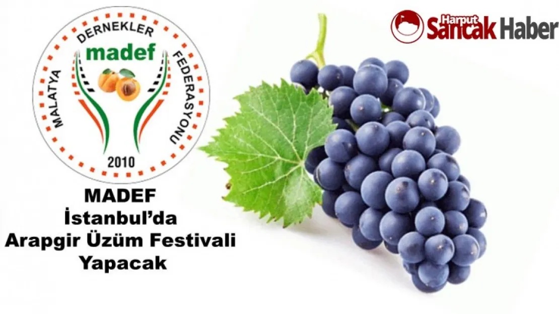 MADEF İstanbul'da Üzüm Festivali Yapacak