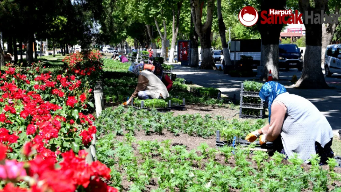 Malatya'da Peyzaj Çalışmaları