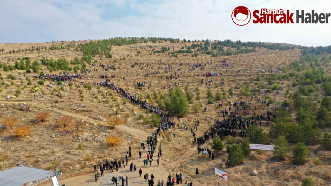 Malatya'da Türkiye Yüzyılına Nefes İçin Fidan Dikildi