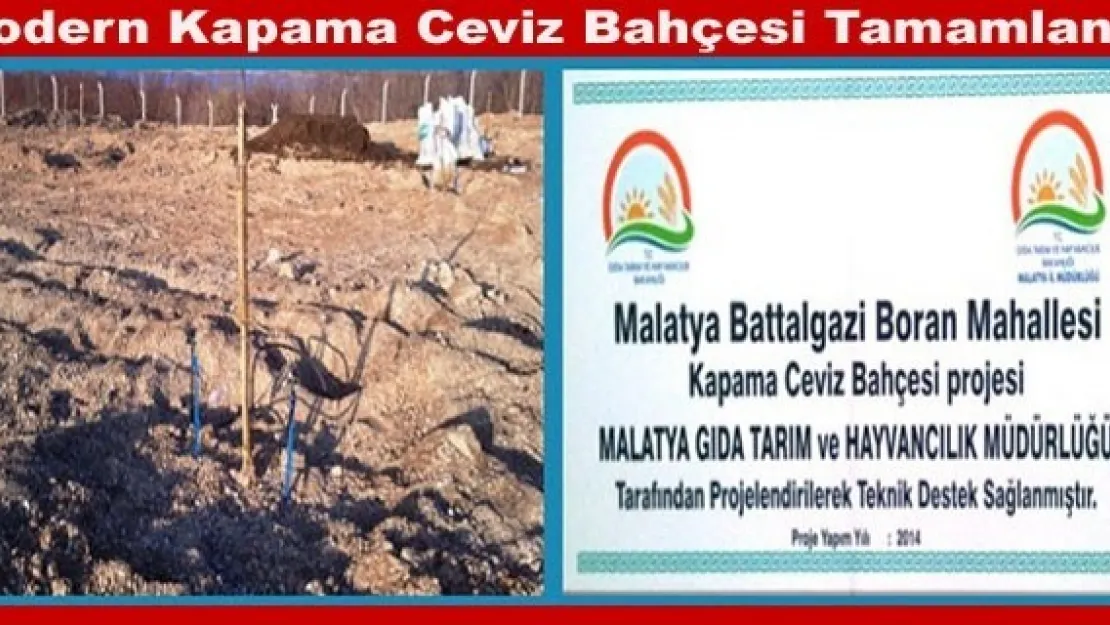 Malatya Tarım İl Müdürlüğünce gerçekleştirilen modern kapama ceviz bahçesi tamamlandı.