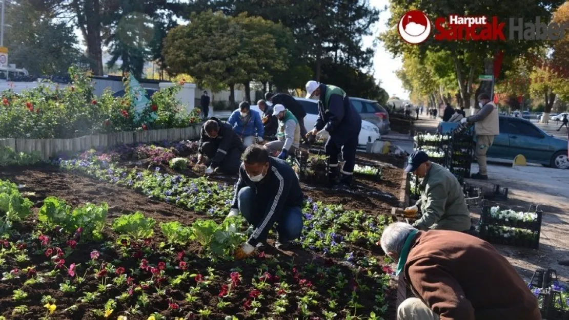 Malatya'yı Baştanbaşa Çiçek Bürüyecek