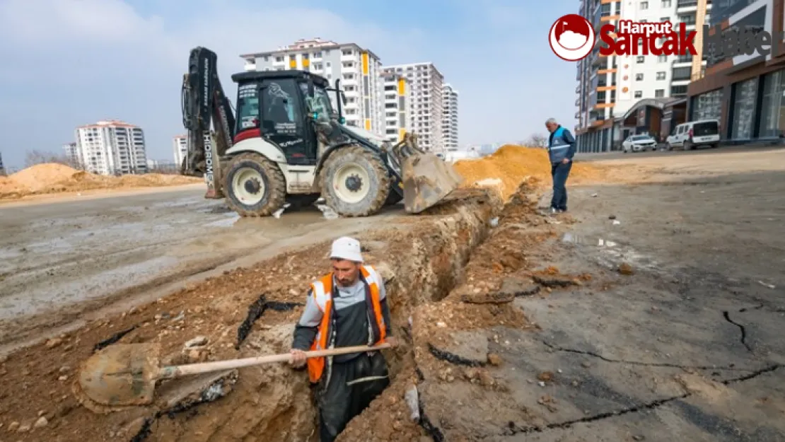 Mert. İşini Seversen Başarırsın, Biz İşimizi Seviyoruz