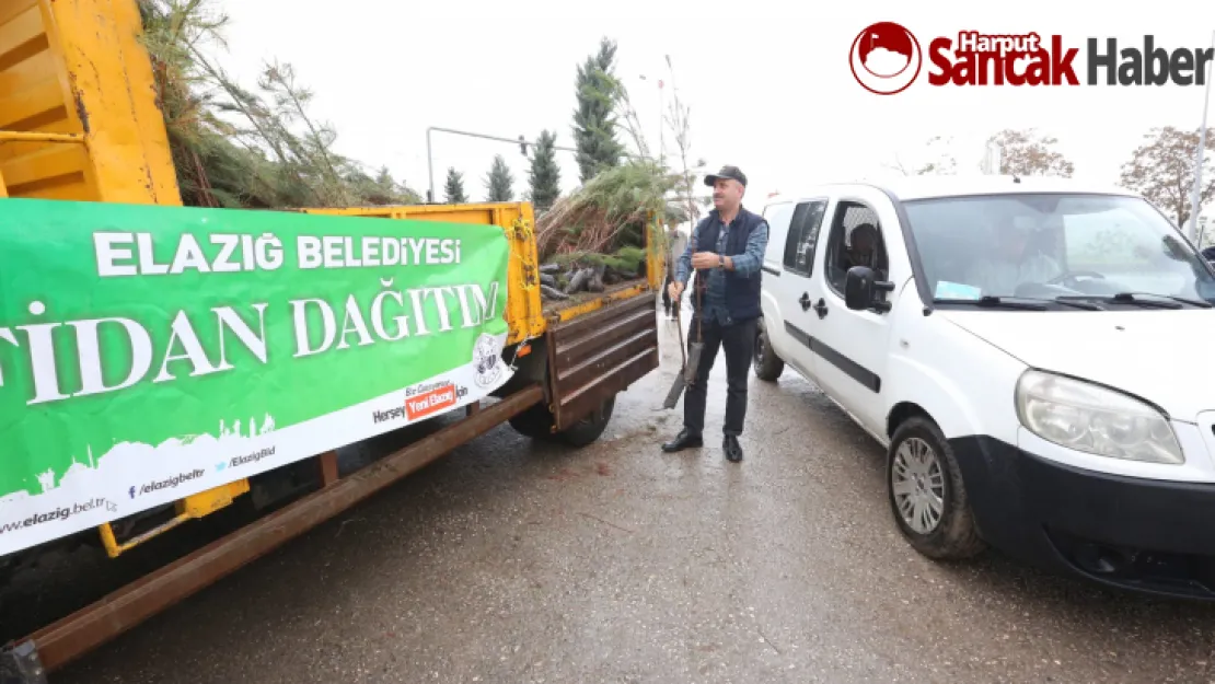 Mezarlıklarda Ücretsiz Çam Fidanı ve Yasin-i Şerif Dağıtıldı