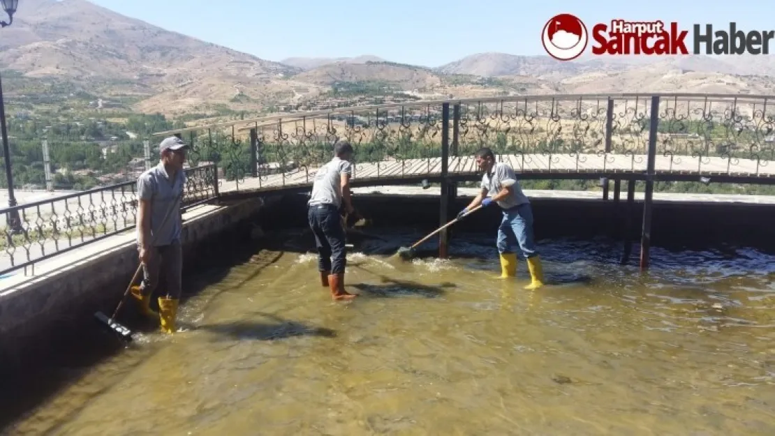 Parklarımızın Temizliği ve Bakımına Büyük Bir Özen Gösteriyoruz