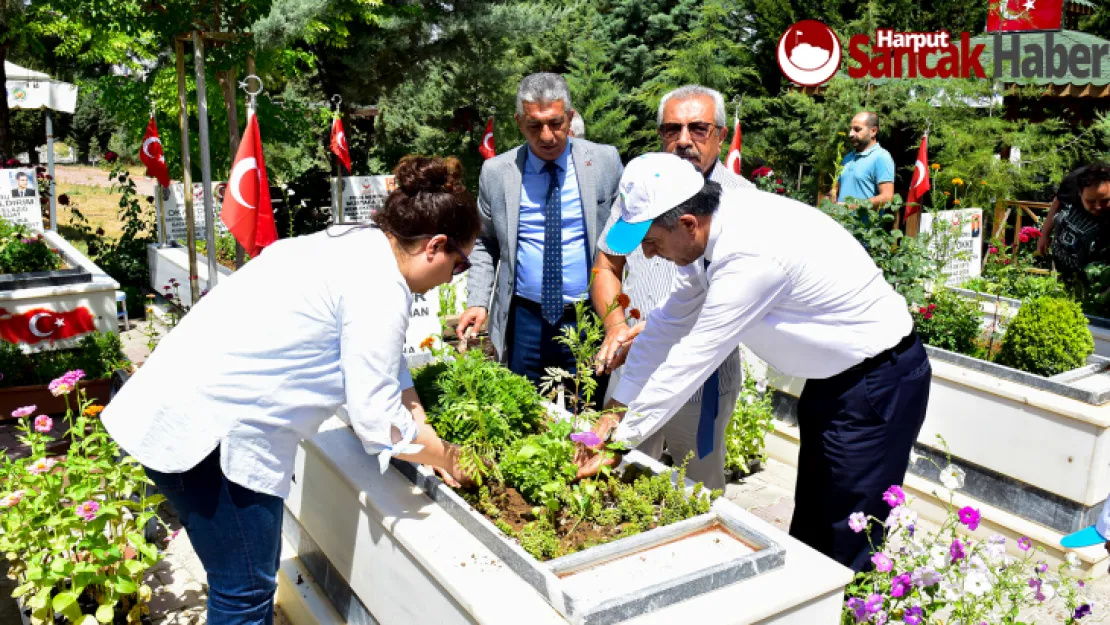 Şehitlerimizin Kabirleri Çiçeklerle Bezendi