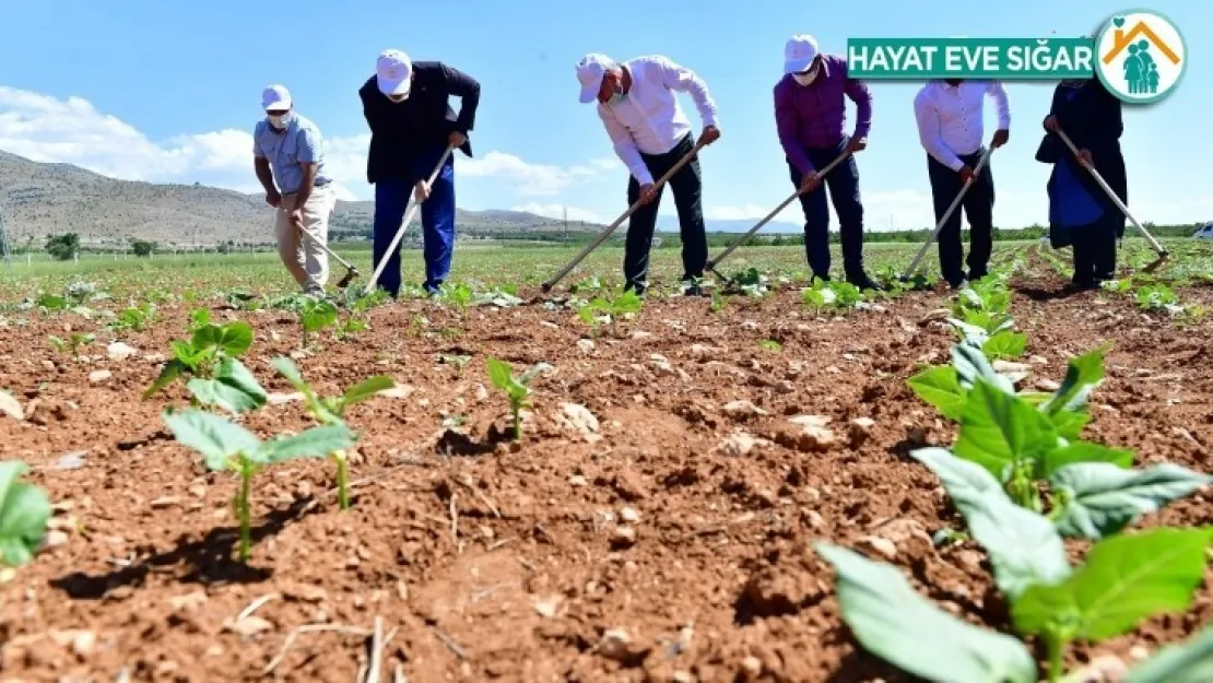 Tarımsal Projelerimizle Belediyeciliğe Farklı Bir Bakış Açısı Kazandırıyoruz