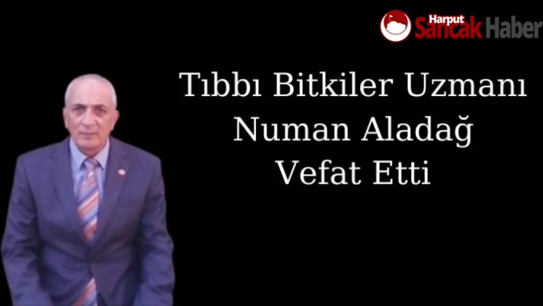 Tıbbı Bitkiler Uzmanı Numan Aladağ Vefat Etti