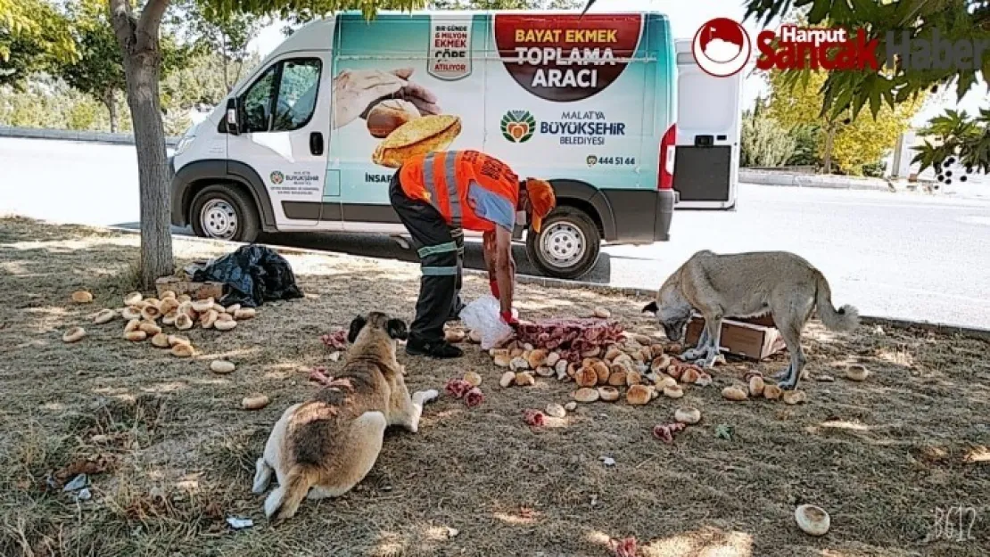 Tüketebileceğimiz kadar ekmek alalım