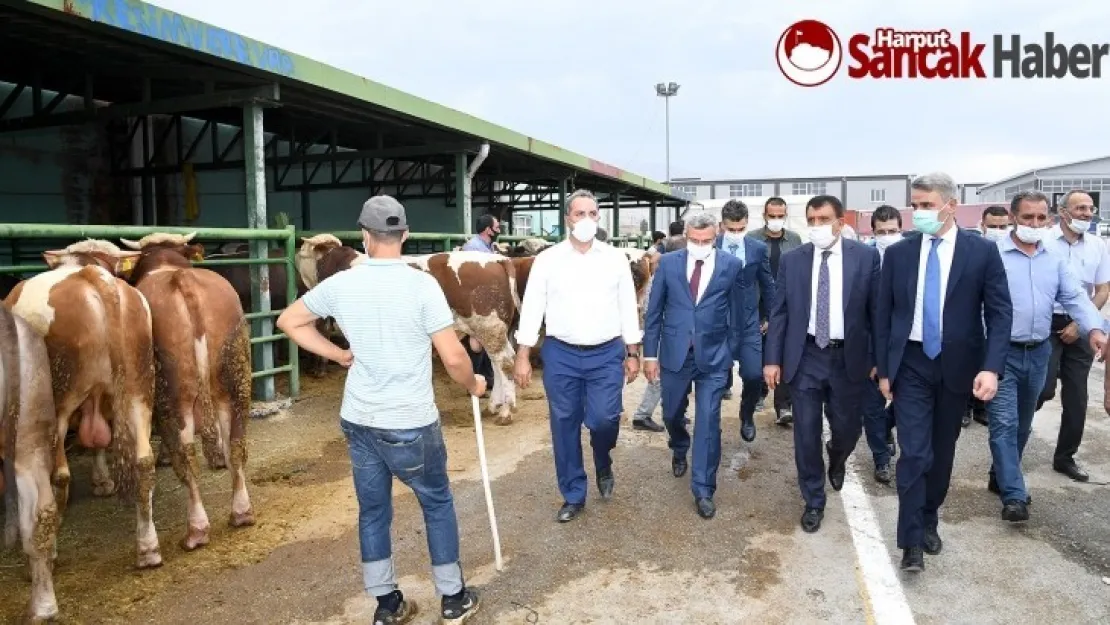 Vali Baruş ile Başkan Gürkan Hayvan Pazarında incelemelerde bulundular