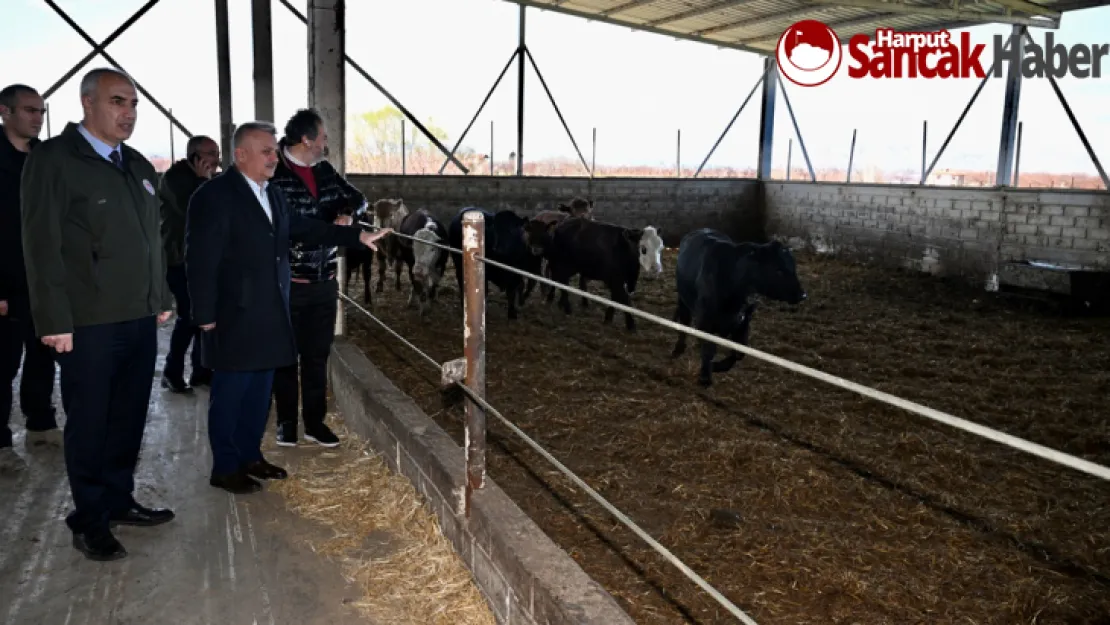 Vali Ersin Yazıcı'dan Battalgazi İlçesindeki Çiftliklere  Ziyaret