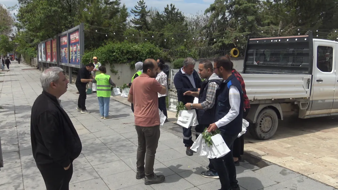 Vatandaşlara Ücretsiz Fide Dağıttı
