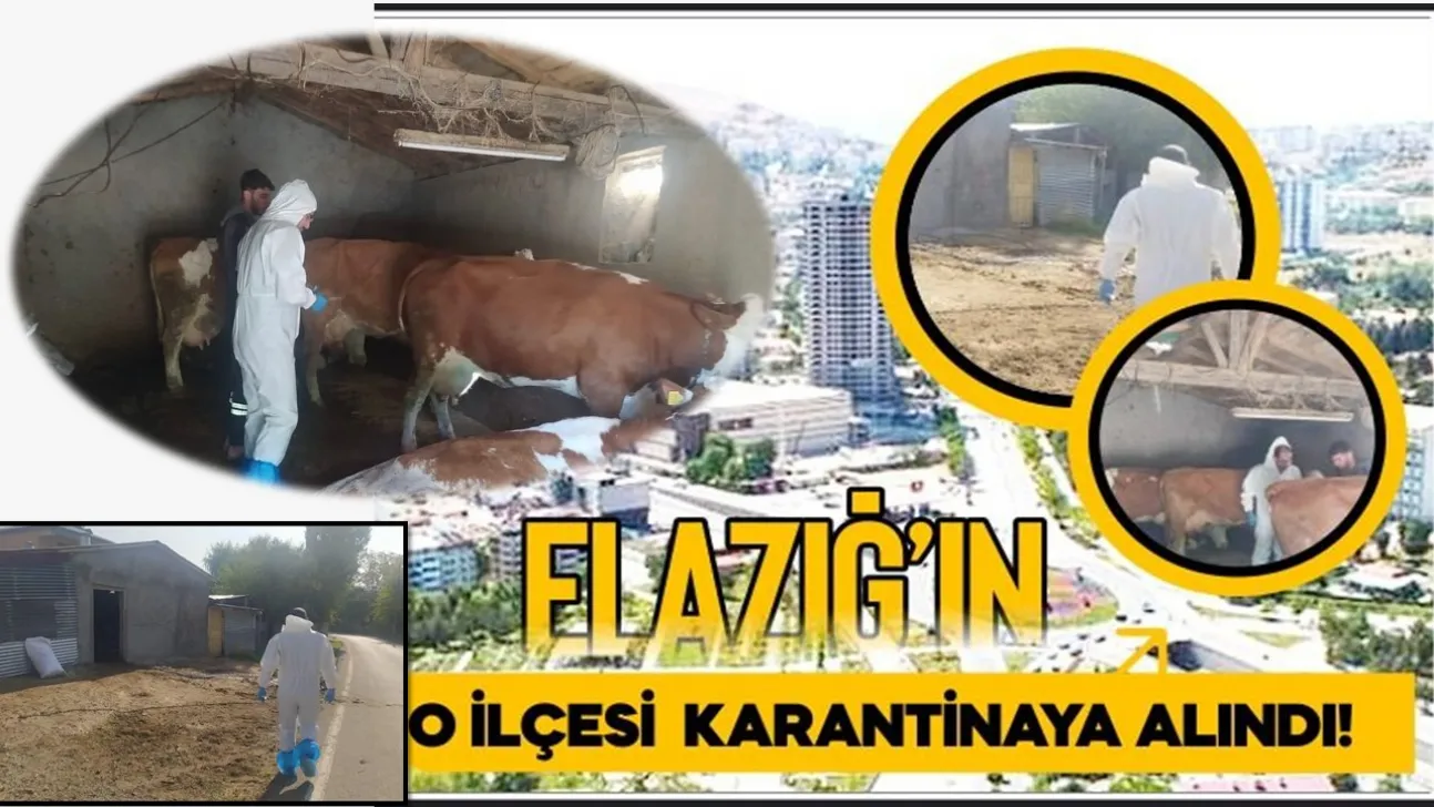 Elazığ'ın O İlçesi  Karantinaya Alındı!