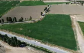 Battalgazi'de Yerli Üretimle Yeşil Alan Seferberliği