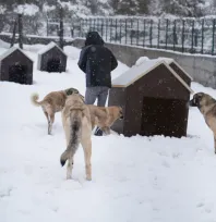 Battalgazi'de Malatya'nın İkinci Hayvan Barınağı Hizmete Başladı