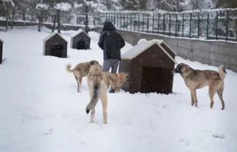 Battalgazi'de Malatya'nın İkinci Hayvan Barınağı Hizmete Başladı