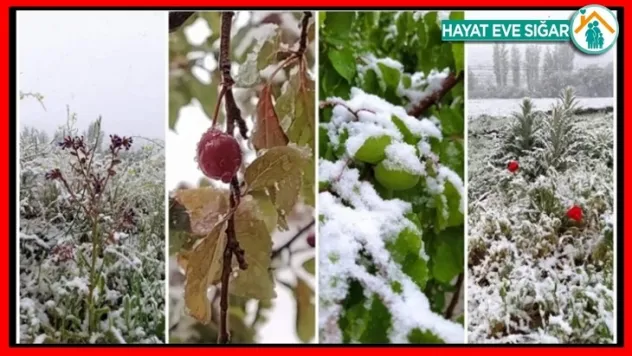 Akçadağ Kürecik ve Kozluca KAR altında