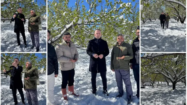 Başkan Karademir: Çiftçilerin yıllık emeği bir gecede yok oldu